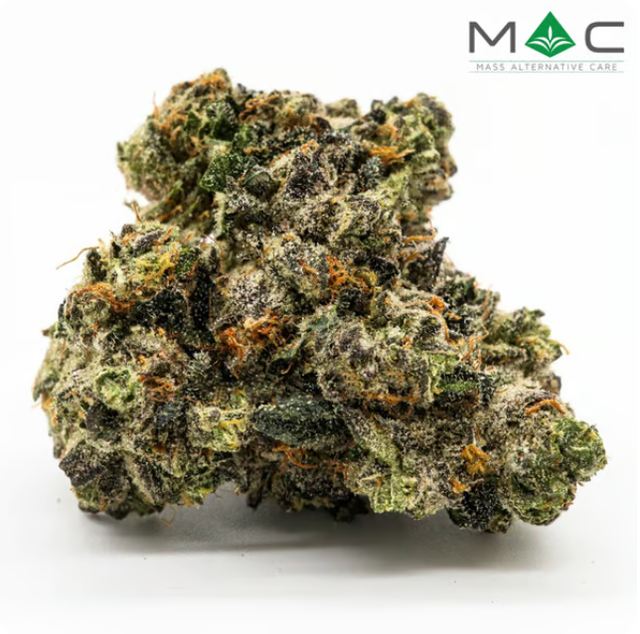 Earthbender Mass Alternative Care (MAC)