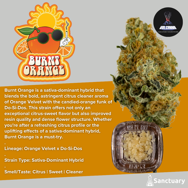 Burnt Orange - Cured Resin Volcanna