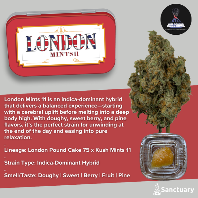 Baller Jar - London Mints 11 - Cured Resin Volcanna