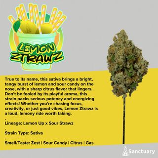 Lemon Ztrawz Sanctuary