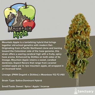 Mountain Apple Sanctuary