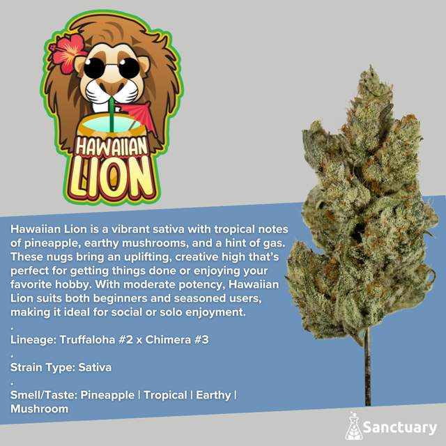 Hawaiian Lion Sanctuary