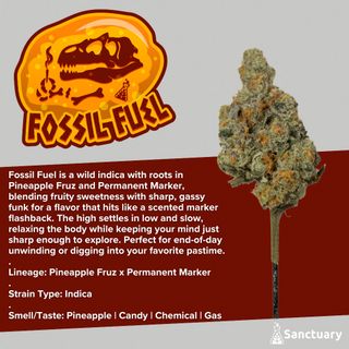Fossil Fuel Sanctuary
