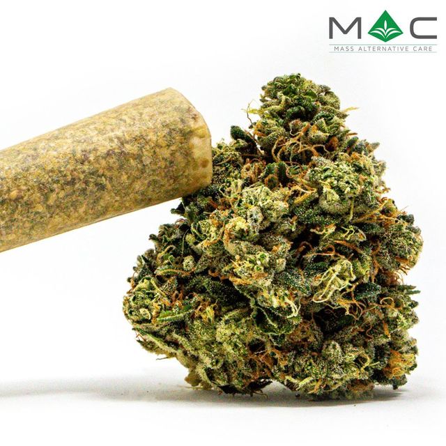Juniper Jive Mass Alternative Care (MAC)