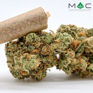 Cannabis Promo, Cannabis Sales, Cannabis Discounts, Cannabis on Sale, 1g Pre-Rolls 6/$40, 12/$75, 24/$145 1