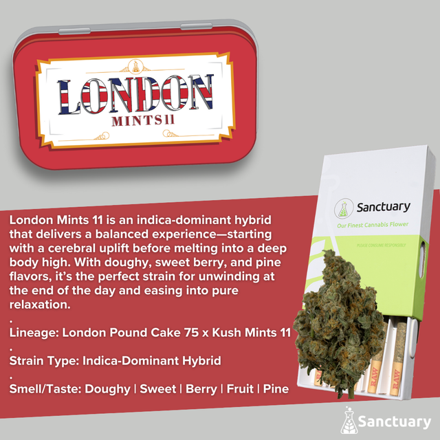 London Mints 11 Sanctuary