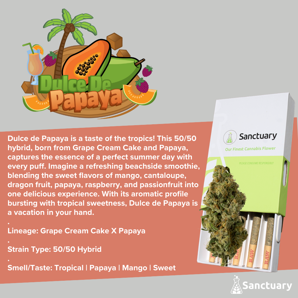 Dulce De Papaya Sanctuary