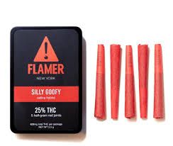 Silly Goofy Flamer