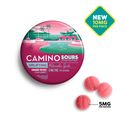 Sours Watermelon Spritz Camino