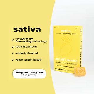 Amalfi Lemon 2:1 THC:CBD good times
