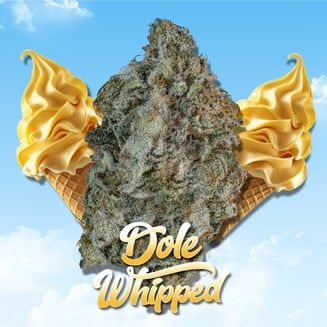 Dole Whipped #1 Stoner Village