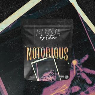 Notorious EVOL