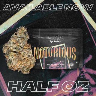 Notorious EVOL
