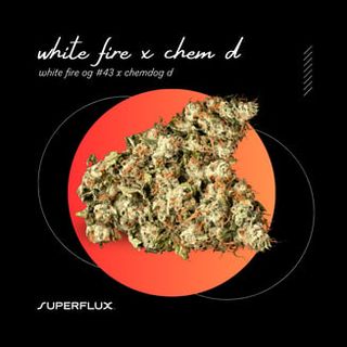 White Fire x Chem D Superflux