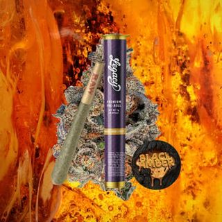 Black Amber Legacy