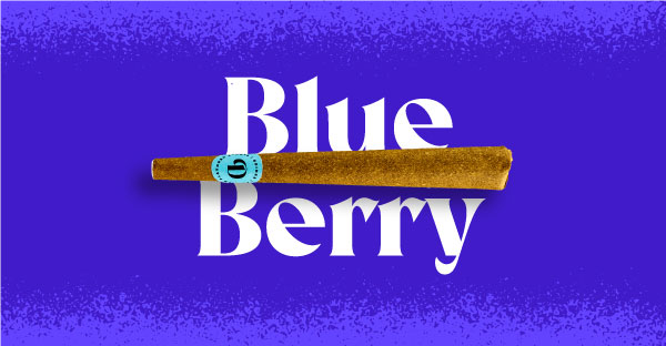 Doinks Blueberry Infused Blunts 1pk 1g