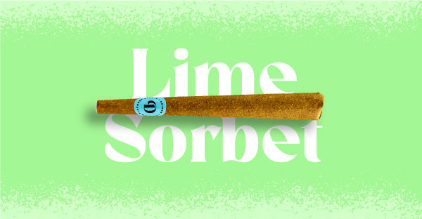 Doinks Lime Sorbet Infused Blunts 1pk 1g