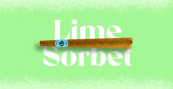 Lime Sorbet Doinks Lime Sorbet Doinks
