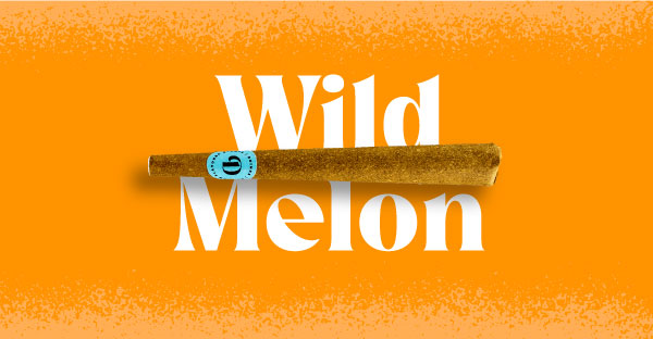 Doinks Wild Melon Infused Blunts 1pk 1g