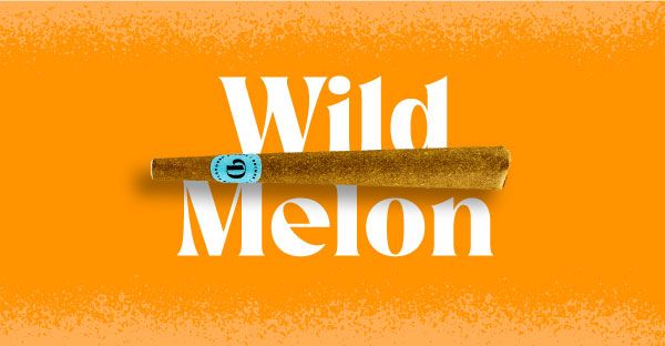 Wild Melon Doinks Wild Melon Doinks