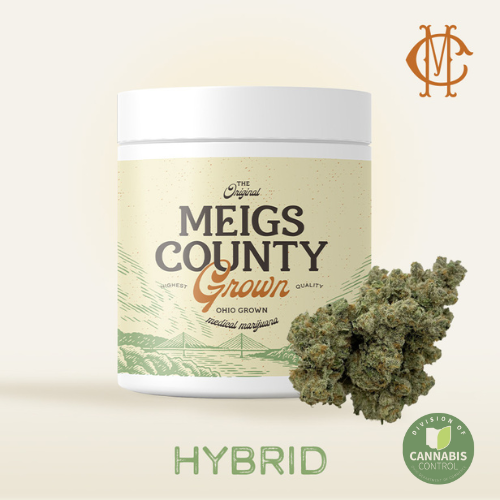 Cactus Cookies Meigs County