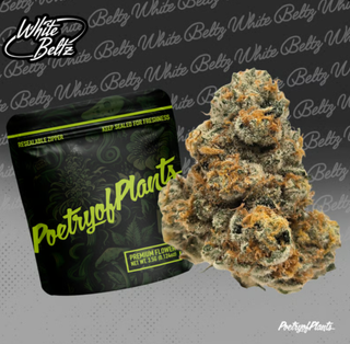 White Beltz Poetry of Plants