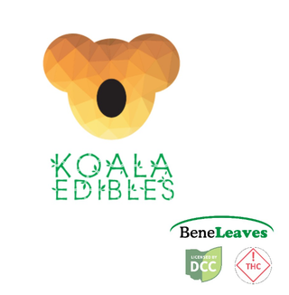 Banana Pudding Bar Koala