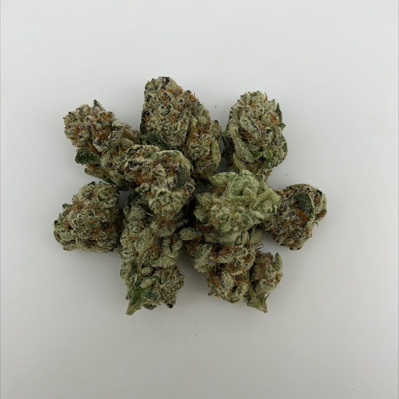DIME BAG — Dbf Fw V2 - Z Lato
