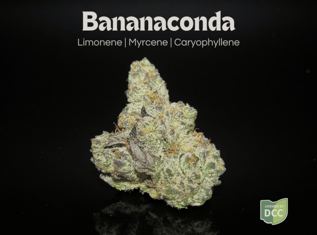 Bananaconda  Farkas Farms 