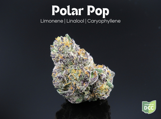 Polar Pop Farkas Farms 