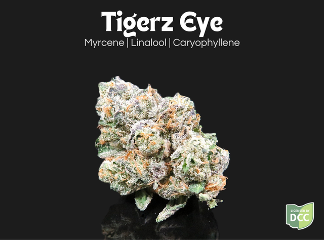 Tigerz Eye Farkas Farms 