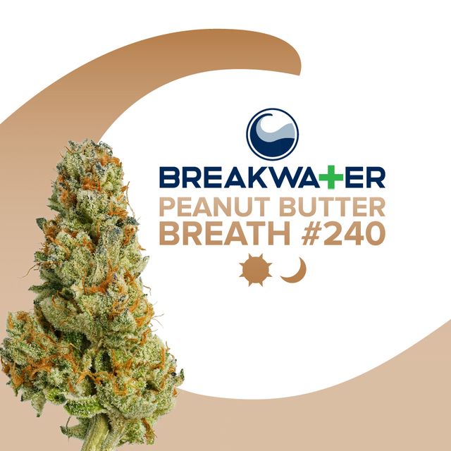Peanut Butter Breath #240 Breakwater