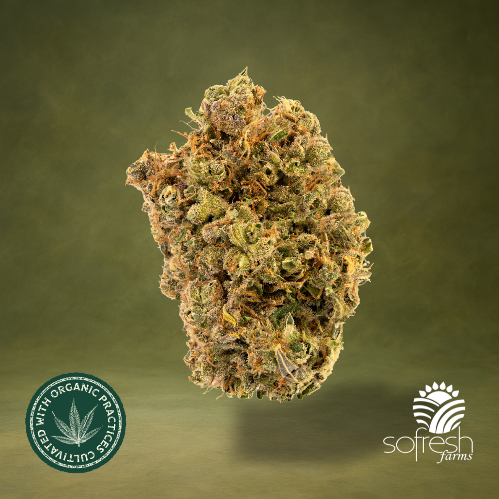 Durban Poison