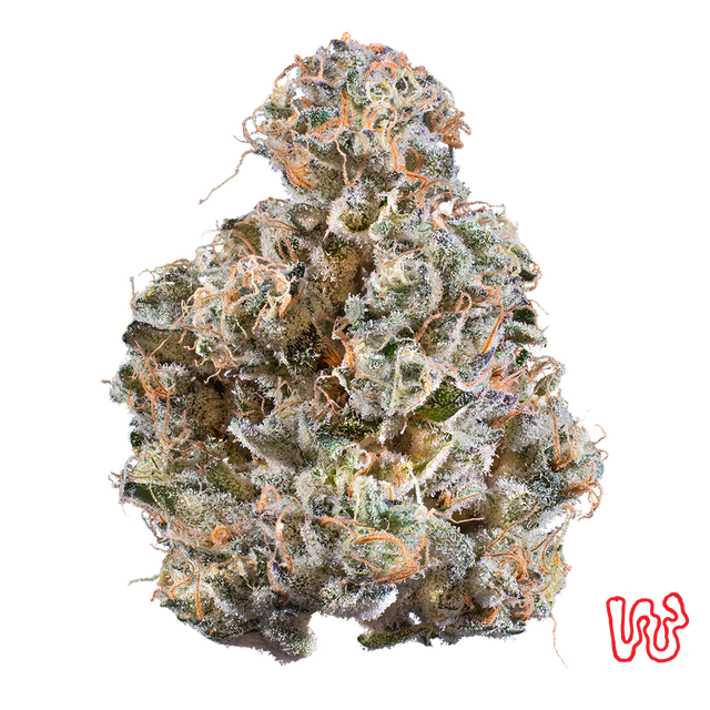 Tiger Candy  Woodward