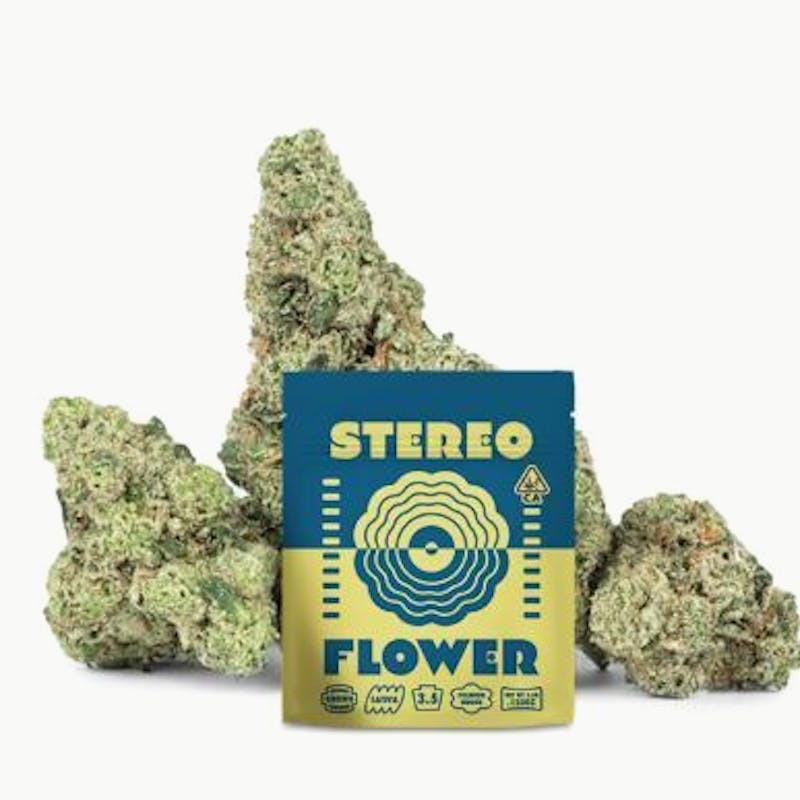 STEREO — Bluenana