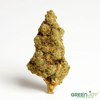 Morning Diesel Greenjoy Hight