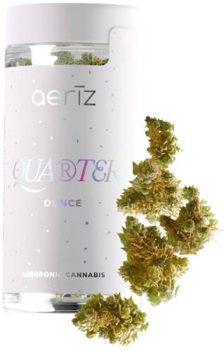 Gelato Mintz Aeriz