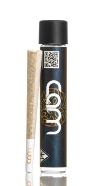 Kosher Kush 1g Pre-Roll CAM