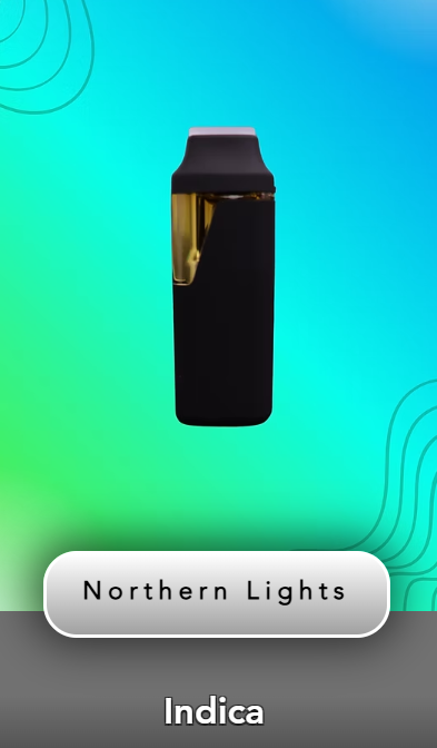 Shnicks Shnacks Northern Lights Disposable 2g