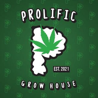 Cannabis Promo, Cannabis Sales, Cannabis Discounts, Cannabis on Sale, 15% Off Prolific Products 1