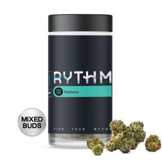 Gas Guzzler RYTHM