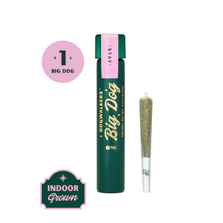 Big Dogs Afternoon Delight #4 Preroll Dogwalkers