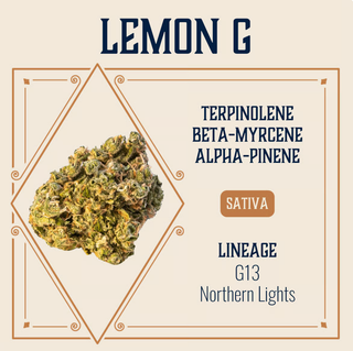 1:1 Lemon G Elevate