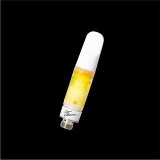 Northern Lights Essence