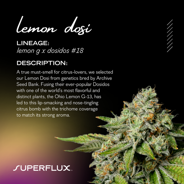 Lemon Dosi Superflux