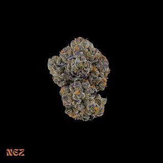 Mac Stomper Nez Mac Stomper Nez