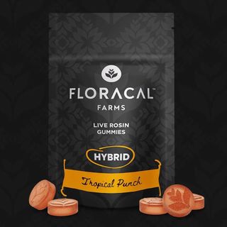 Tropical Punch Live Rosin Floracal Tropical Punch Live Rosin Floracal