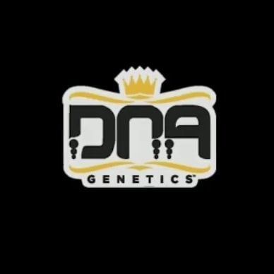 Dna Genetics Super Silver LA Premium Full Buds 3.5g