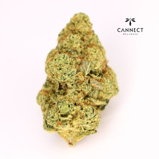 Motor Breath #15 Cannect Wellness Motor Breath #15 Cannect Wellness