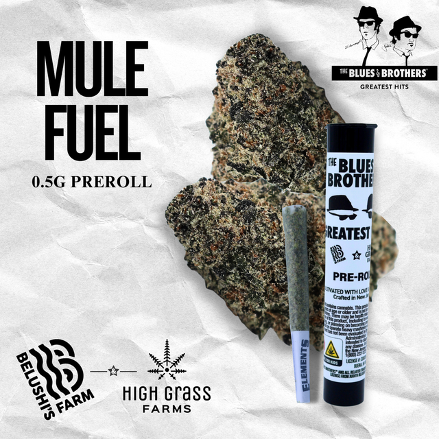 Mule Fuel The Blues Brother's 